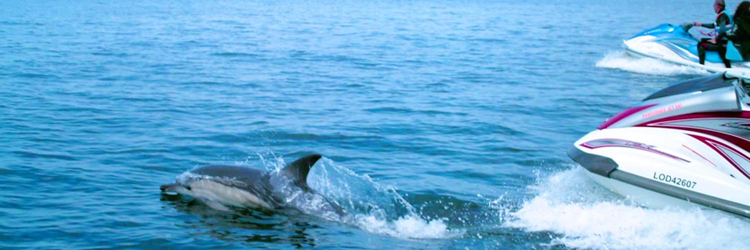 Ty Nenez : Jetski avec dauphins