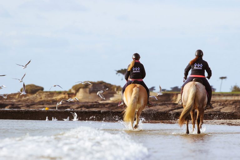 Ty Nenez : Kerguelen Equitation