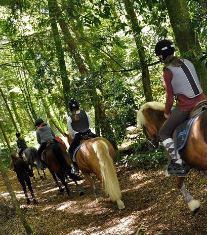 Camping Lorient Ty Nenez : Rando à Cheval à Queven Morbihan