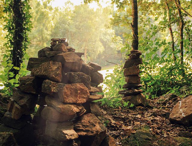 Ty Nenez : Foret De Brocéliande Au Printemps